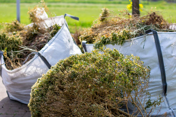 Yard Cleanup Services in Monessen, PA